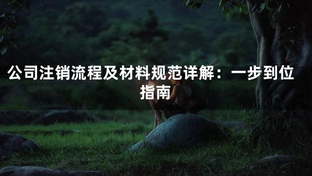 公司注销流程及材料规范详解：一步到位指南