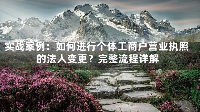 实战案例：如何进行个体工商户营业执照的法人变更？完整流程详解