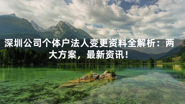 深圳公司个体户法人变更资料全解析：两大方案，最新资讯！