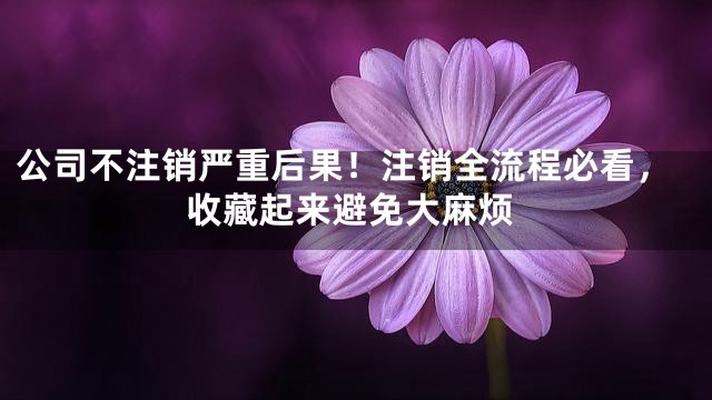 公司不注销严重后果！注销全流程必看，收藏起来避免大麻烦