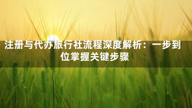 注册与代办旅行社流程深度解析：一步到位掌握关键步骤