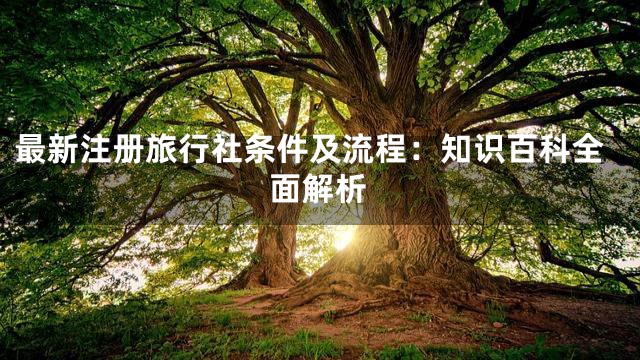 最新注册旅行社条件及流程：知识百科全面解析