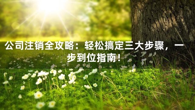 公司注销全攻略：轻松搞定三大步骤，一步到位指南！