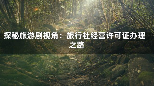 探秘旅游剧视角：旅行社经营许可证办理之路