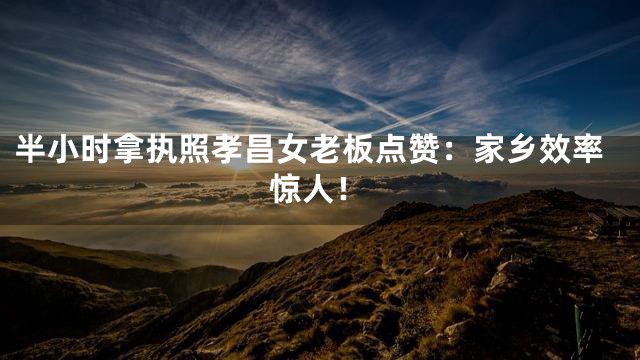 半小时拿执照孝昌女老板点赞：家乡效率惊人！