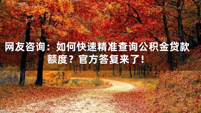 网友咨询：如何快速精准查询公积金贷款额度？官方答复来了！