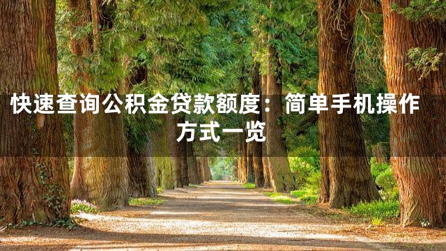 快速查询公积金贷款额度：简单手机操作方式一览
