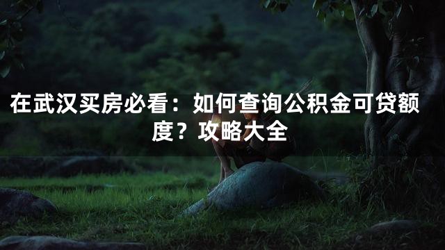 在武汉买房必看：如何查询公积金可贷额度？攻略大全