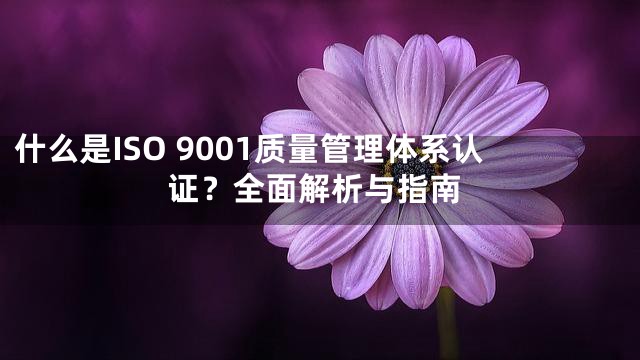 什么是ISO 9001质量管理体系认证？全面解析与指南