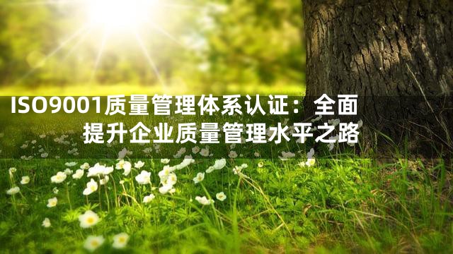 ISO9001质量管理体系认证：全面提升企业质量管理水平之路