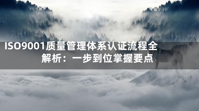 ISO9001质量管理体系认证流程全解析：一步到位掌握要点
