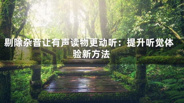 剔除杂音让有声读物更动听：提升听觉体验新方法