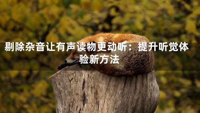 剔除杂音让有声读物更动听：提升听觉体验新方法
