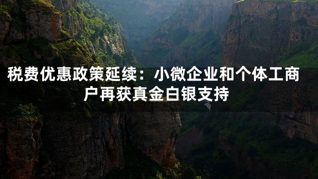 税费优惠政策延续：小微企业和个体工商户再获真金白银支持