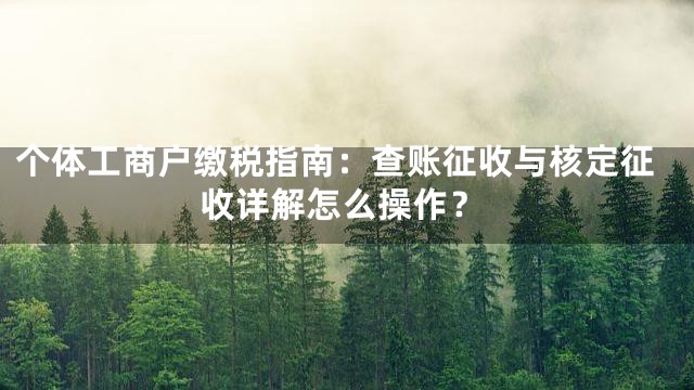 个体工商户缴税指南：查账征收与核定征收详解怎么操作？