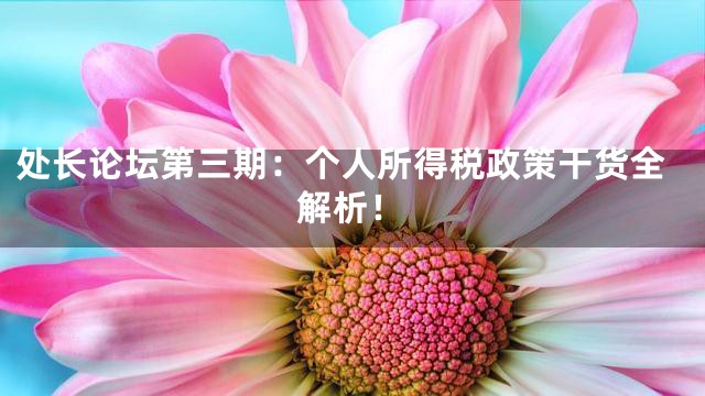处长论坛第三期：个人所得税政策干货全解析！