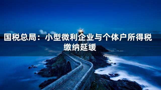国税总局：小型微利企业与个体户所得税缴纳延缓