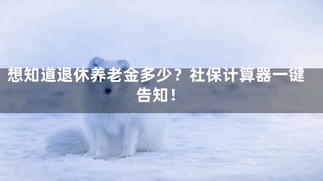 想知道退休养老金多少？社保计算器一键告知！