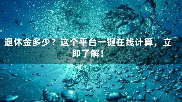 退休金多少？这个平台一键在线计算，立即了解！