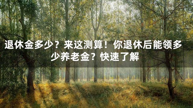 退休金多少？来这测算！你退休后能领多少养老金？快速了解