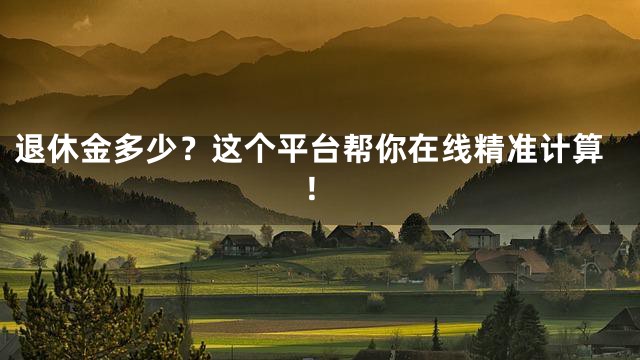 退休金多少？这个平台帮你在线精准计算！