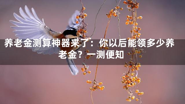 养老金测算神器来了：你以后能领多少养老金？一测便知