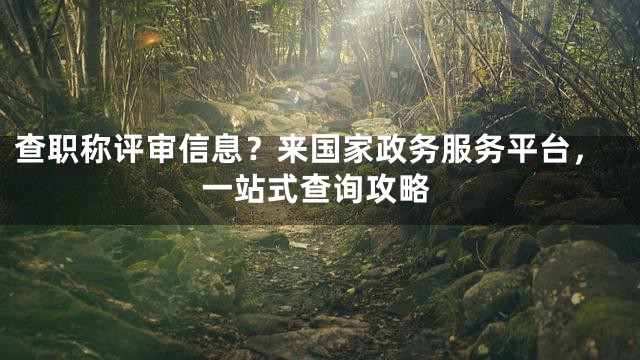 查职称评审信息？来国家政务服务平台，一站式查询攻略