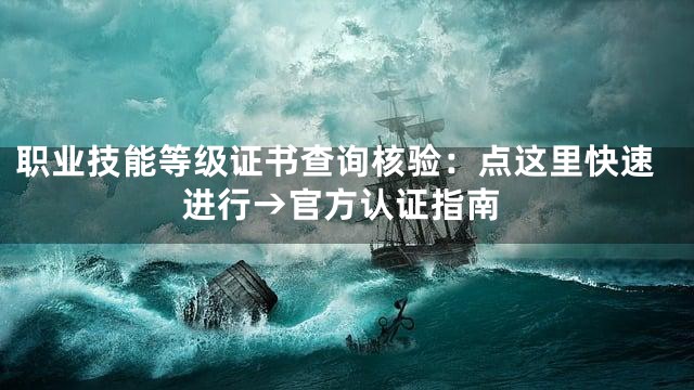 职业技能等级证书查询核验：点这里快速进行→官方认证指南