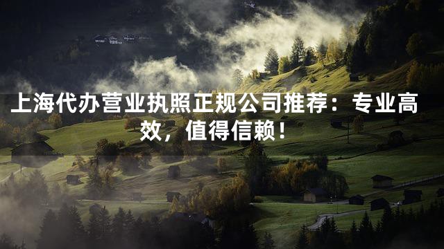上海代办营业执照正规公司推荐：专业高效，值得信赖！