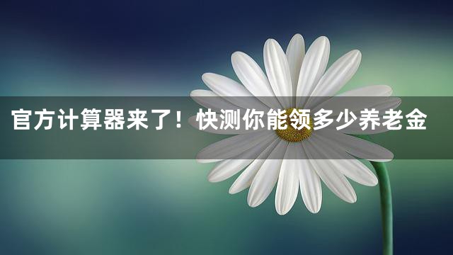 官方计算器来了！快测你能领多少养老金
