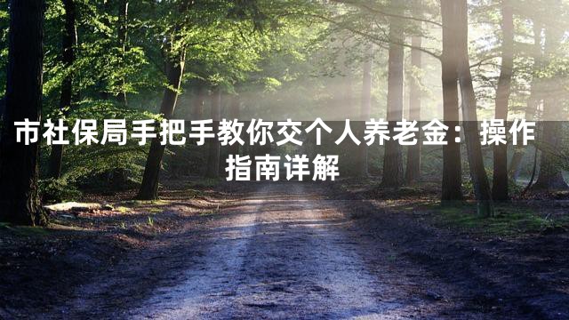 市社保局手把手教你交个人养老金：操作指南详解