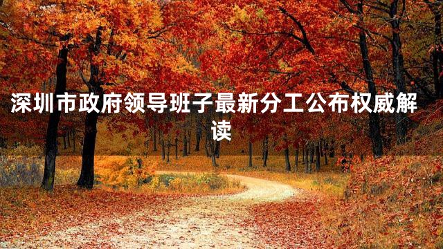 深圳市政府领导班子最新分工公布权威解读
