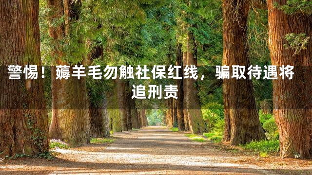 警惕！薅羊毛勿触社保红线，骗取待遇将追刑责