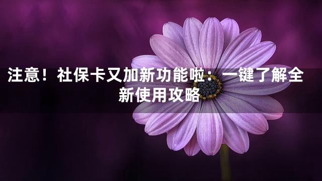 注意！社保卡又加新功能啦：一键了解全新使用攻略