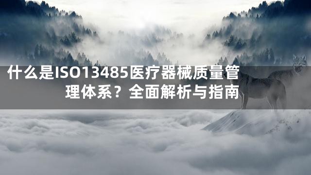 什么是ISO13485医疗器械质量管理体系？全面解析与指南
