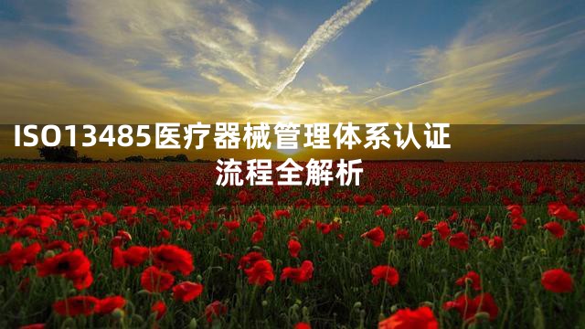 ISO13485医疗器械管理体系认证流程全解析