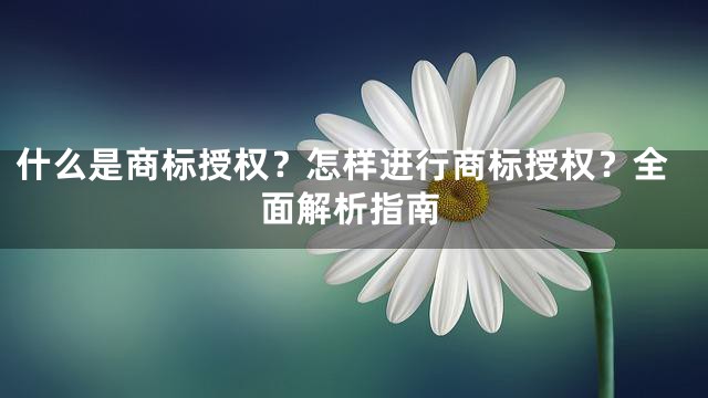 什么是商标授权？怎样进行商标授权？全面解析指南