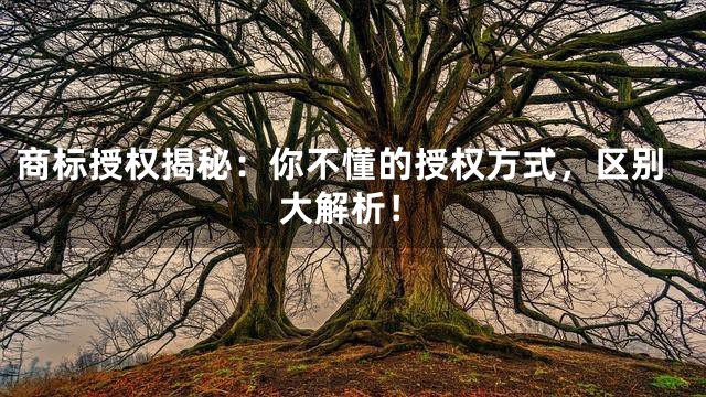 商标授权揭秘：你不懂的授权方式，区别大解析！