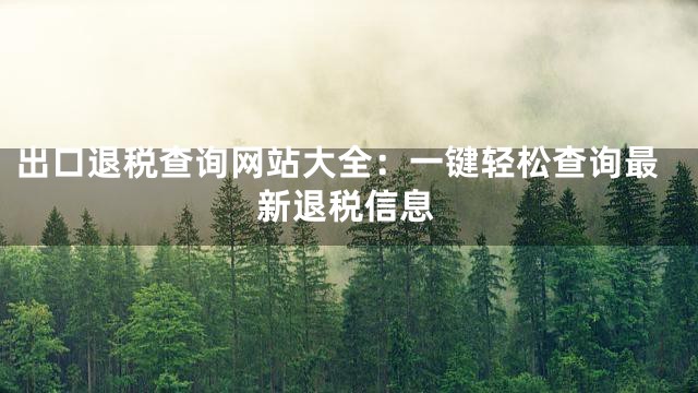 出口退税查询网站大全：一键轻松查询最新退税信息