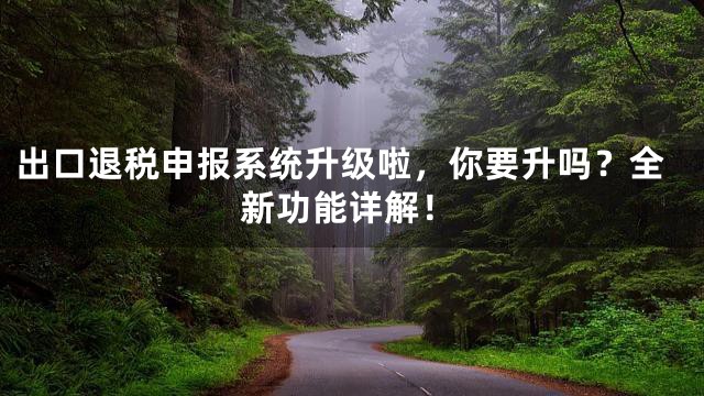 出口退税申报系统升级啦，你要升吗？全新功能详解！