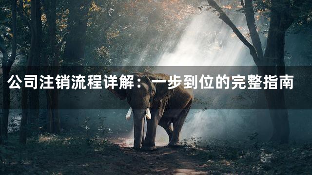 公司注销流程详解：一步到位的完整指南