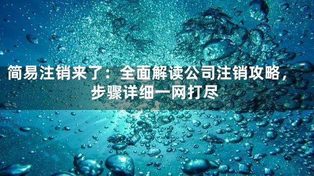 简易注销来了：全面解读公司注销攻略，步骤详细一网打尽