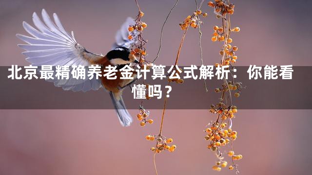 北京最精确养老金计算公式解析：你能看懂吗？
