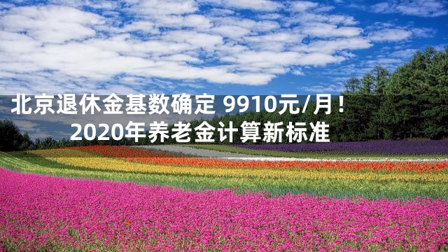 北京退休金基数确定 9910元/月！2020年养老金计算新标准