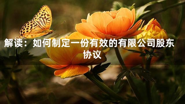 解读：如何制定一份有效的有限公司股东协议