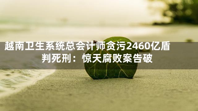 越南卫生系统总会计师贪污2460亿盾判死刑：惊天腐败案告破