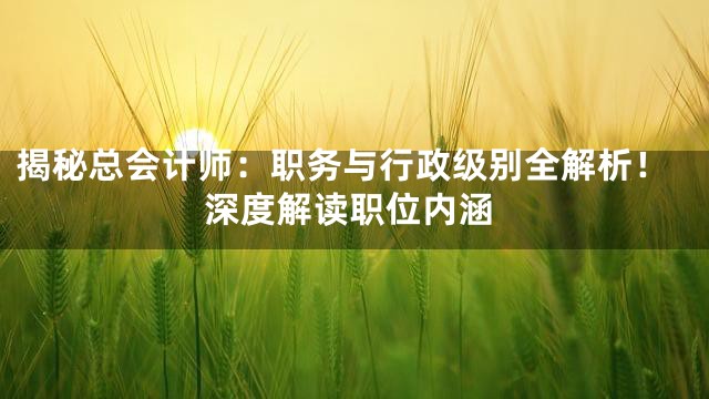揭秘总会计师：职务与行政级别全解析！深度解读职位内涵