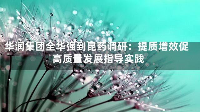 华润集团全华强到昆药调研：提质增效促高质量发展指导实践