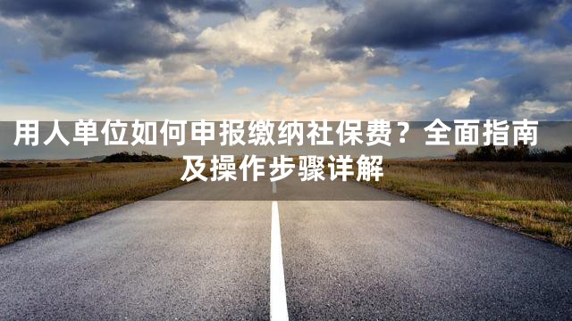 用人单位如何申报缴纳社保费？全面指南及操作步骤详解