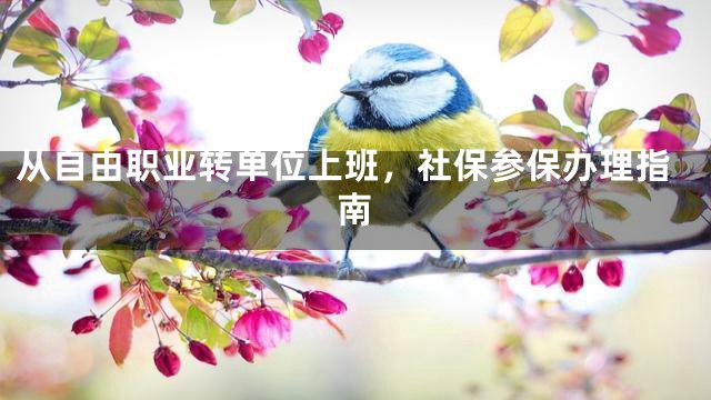 从自由职业转单位上班，社保参保办理指南